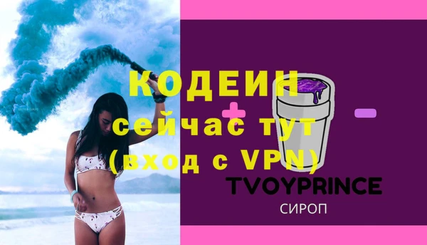 прущие грибы Вязники