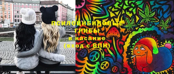 apvp Алзамай