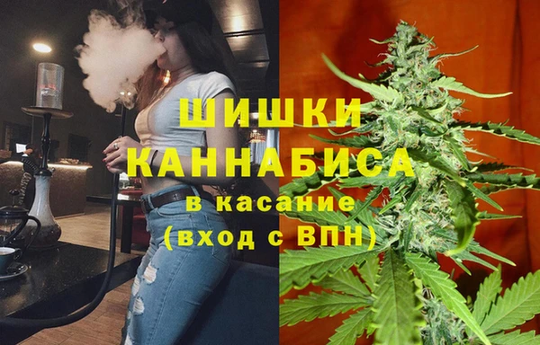 apvp Алзамай