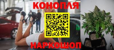 соль курить ск Сланцы